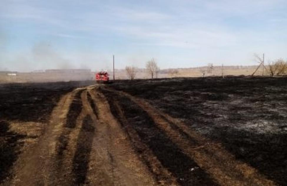 Ни копейки не получат фермеры за пал травы в Новосибирской области
