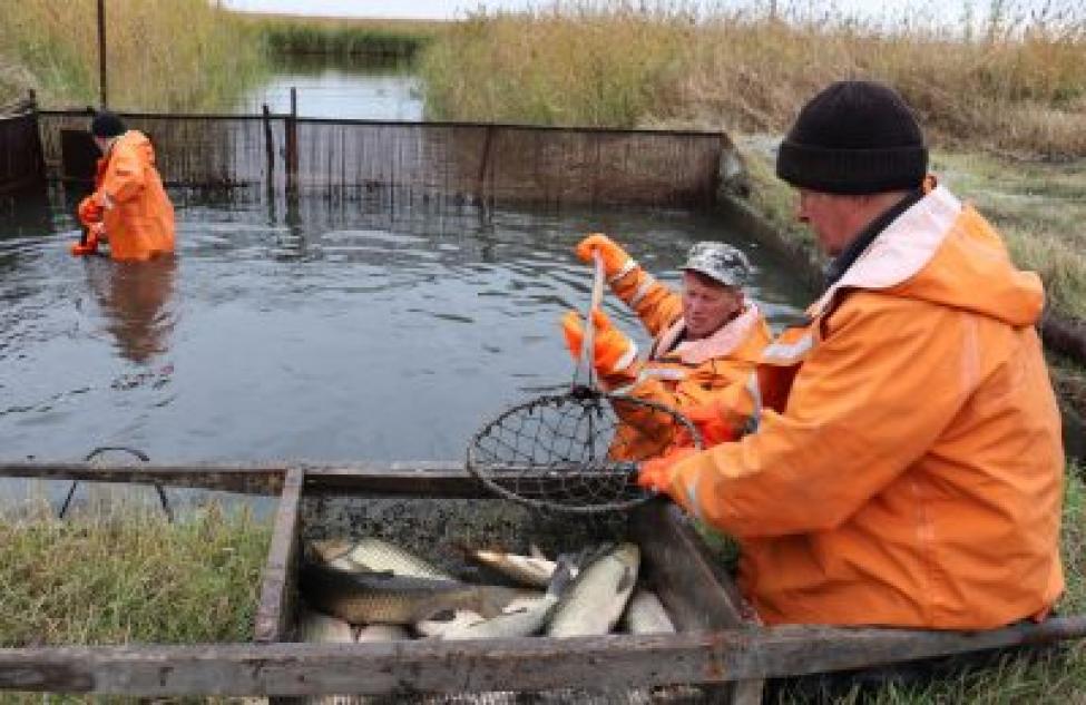 Правила весенней рыбалки 2021 в Новосибирской области