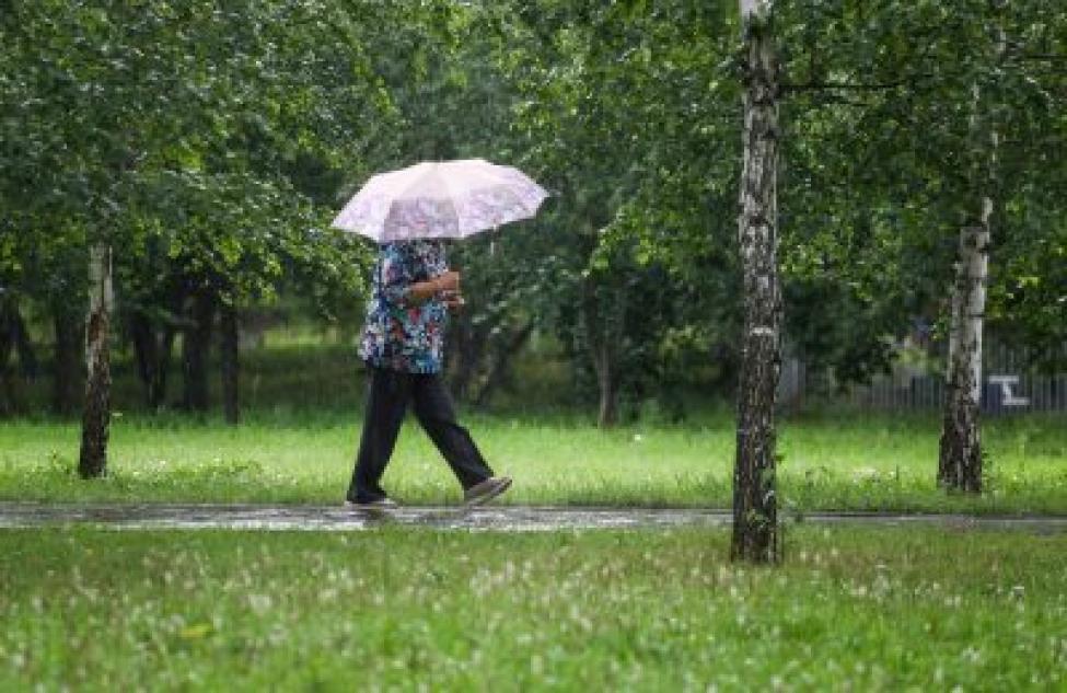 Дожди и грозы: прогноз погоды в Северном на неделю 17-23 мая