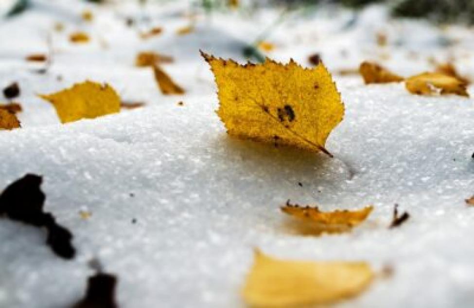 Снег рождает споры: какой будет погода в ноябре-2021 в Новосибирске