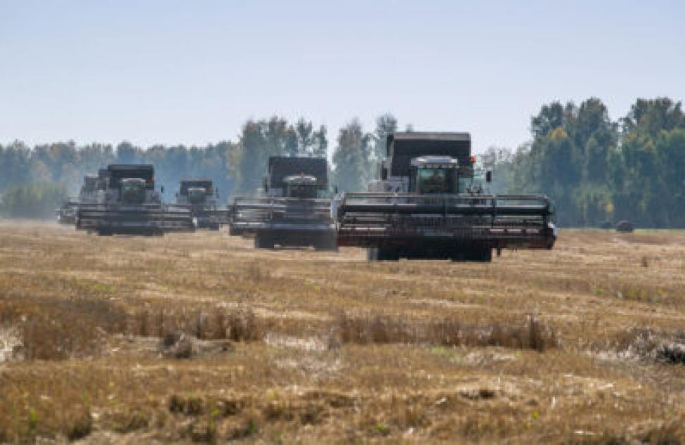 Рекордная урожайность отмечена в Новосибирской области