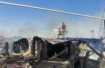 Дом пенсионеров сгорел из-за пала травы в Новосибирской области