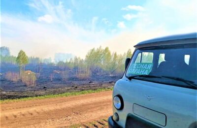 Два лесных пожара обнаружены в Северном районе
