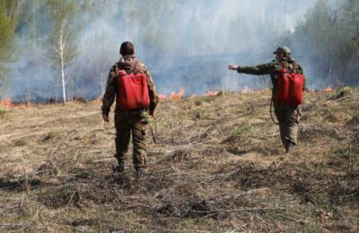 Более 800 человек оштрафованы за пожары в Новосибирской области