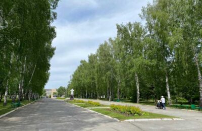 Кто получит поддержку по проекту «Жилье и городская среда»-2023 в Новосибирской области