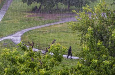 Прохладная неделя с дождями ждет жителей Северного района 4-10 июля