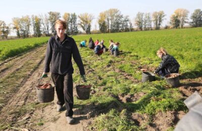 «Подъемные» для молодых специалистов АПК в селах Новосибирской области необходимо увеличить