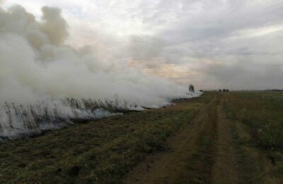 Четвертые сутки тушат лесной пожар в Убинском районе