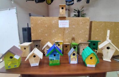 В Северном районе дети мастерили домики для птиц
