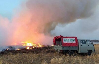 В Новосибирской области установлен пожароопасный сезон