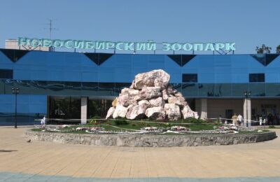 В Новосибирском зоопарке 1 июня будет бесплатным вход для детей
