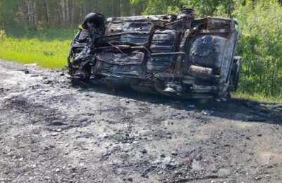 В Северном районе сгорел автомобиль