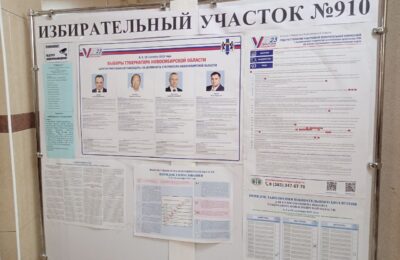 Выборы губернатора Новосибирской области состоялись