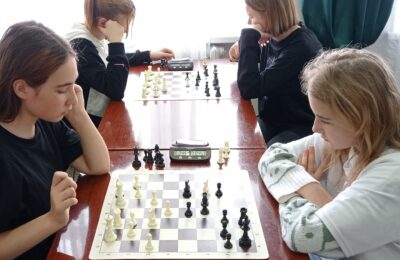 Северяне стали участниками V этапа Кубка Новосибирской области по быстрым шахматам