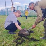 Озеленение территории детского сада провели воспитанники и их родители