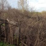 Признаки неосвоенной земли и условия ее изъятия