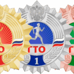 О реализации ВФСК ГТО в Северном районе