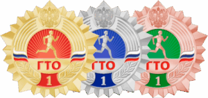 О реализации ВФСК ГТО в Северном районе