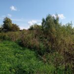 Новые признаки неиспользования земельных участков: что изменится с 1 сентября