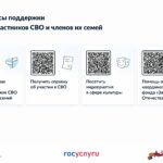 Сервисы поддержки для участников СВО и их семей