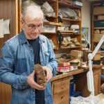 Найденные в Новосибирской области останки сибирских мамонтов помогают ученым раскрыть причину их гибели