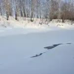 Андрей Травников: В этом году к паводку нужно готовиться особенно серьезно