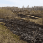 В ближайшее время на территории Новосибирской области введут особый противопожарный режим