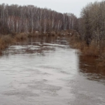 Вода в реке Тартас продолжает прибывать