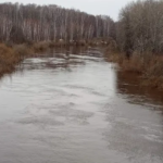 Вода в реке Тартас в Северном продолжает прибывать
