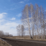 Пожароопасный сезон в Северном округе введен с 20 апреля