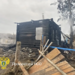 В Кыштовском районе в пожаре погибла мать с двумя детьми