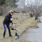 Андрей Травников поручил как можно раньше начать весеннюю уборку территорий