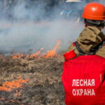 Особый противопожарный режим введен в Новосибирской области