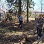 В Северном округе продолжается акция «100 тысяч добрых дел»