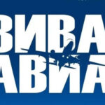 Авиационно-спортивный фестиваль «ВИВА АВИА!» пройдет в регионе 1 и 2 августа