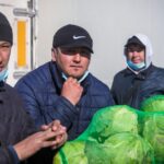 Семьи мигрантов в Новосибирской области заплатят за гражданство в 35 раз больше