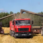 Владимир Путин наградил медалью трех аграриев Новосибирской области