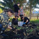 Совместный труд объединил учеников и учителей Витинской школы