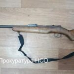 Житель Северного округа привлечен к ответственности за незаконное ношение и хранение оружия
